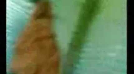 Jävla med en svensk vintage porr massa Niggas i röven.